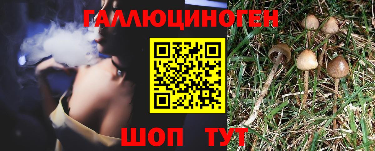 Галлюциногенные грибы GOLDEN TEACHER  Галлюциногенные грибы мухоморы  Вход с VPN  Прокопьевск 