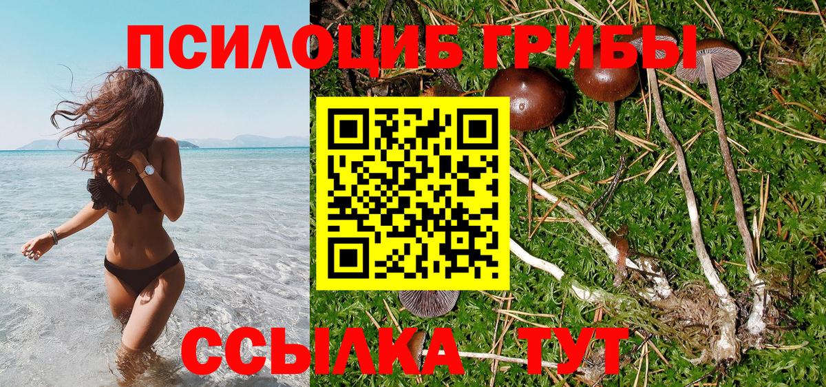 Псилоцибиновые грибы мухоморы Прокопьевск