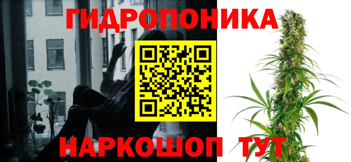 Конопля конопля  Шишки марихуана тримм  Прокопьевск  Бошки марихуана SATIVA & INDICA  Вход с VPN 